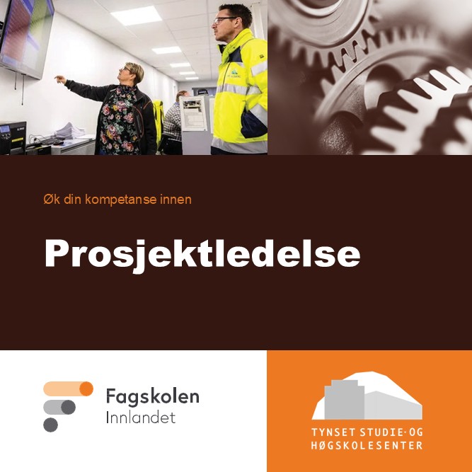 Promoteringsbilde Prosjektledelse innføring